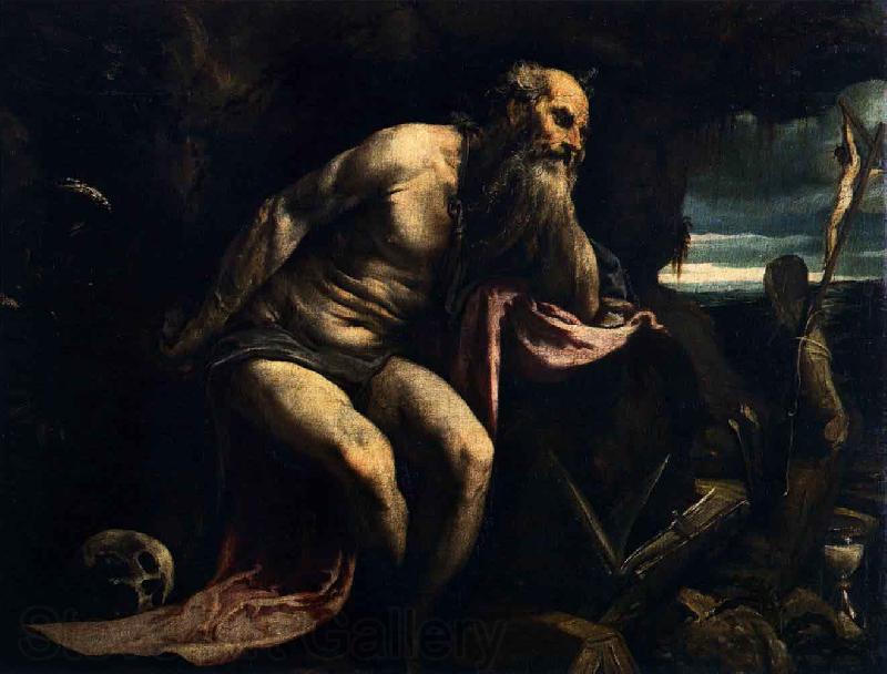 Jacopo Bassano St Jerome Germany oil painting art